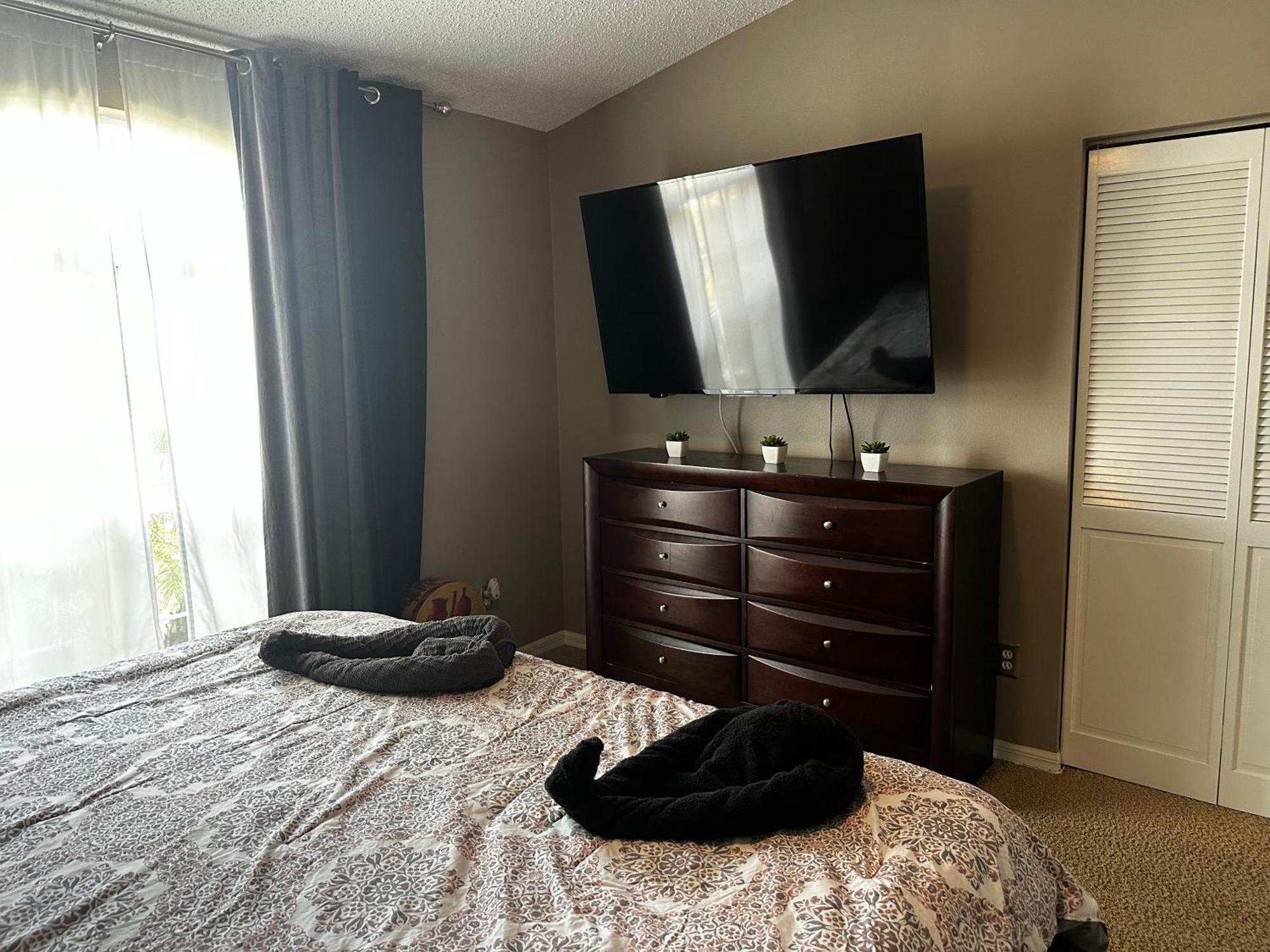 Cozy 3 Bedroom Home Close To Everything In Tampa! Buitenkant foto