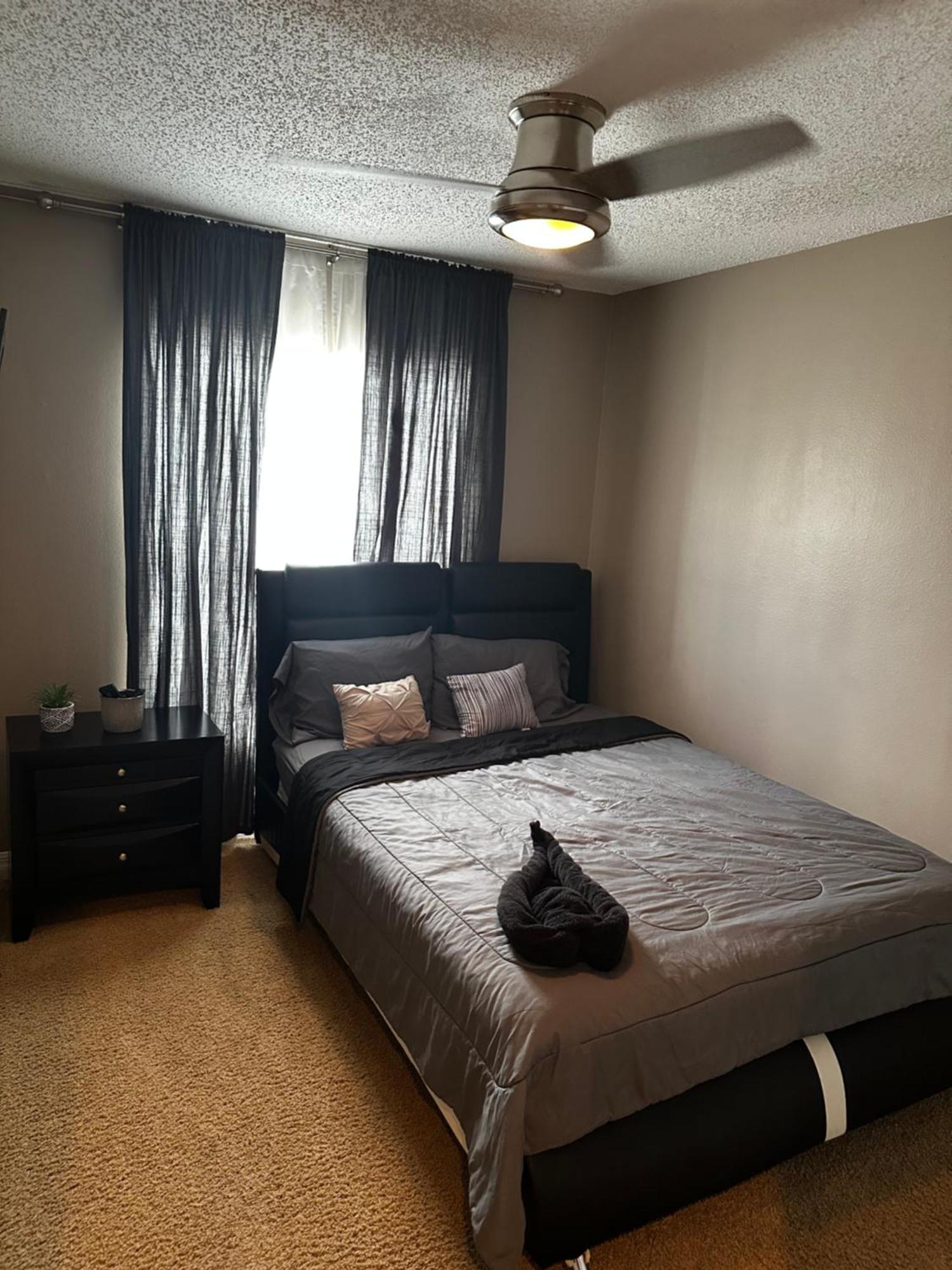 Cozy 3 Bedroom Home Close To Everything In Tampa! Buitenkant foto